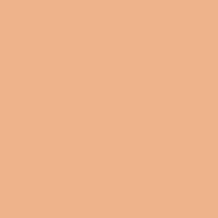 Peptide Lifting Eye Concealer