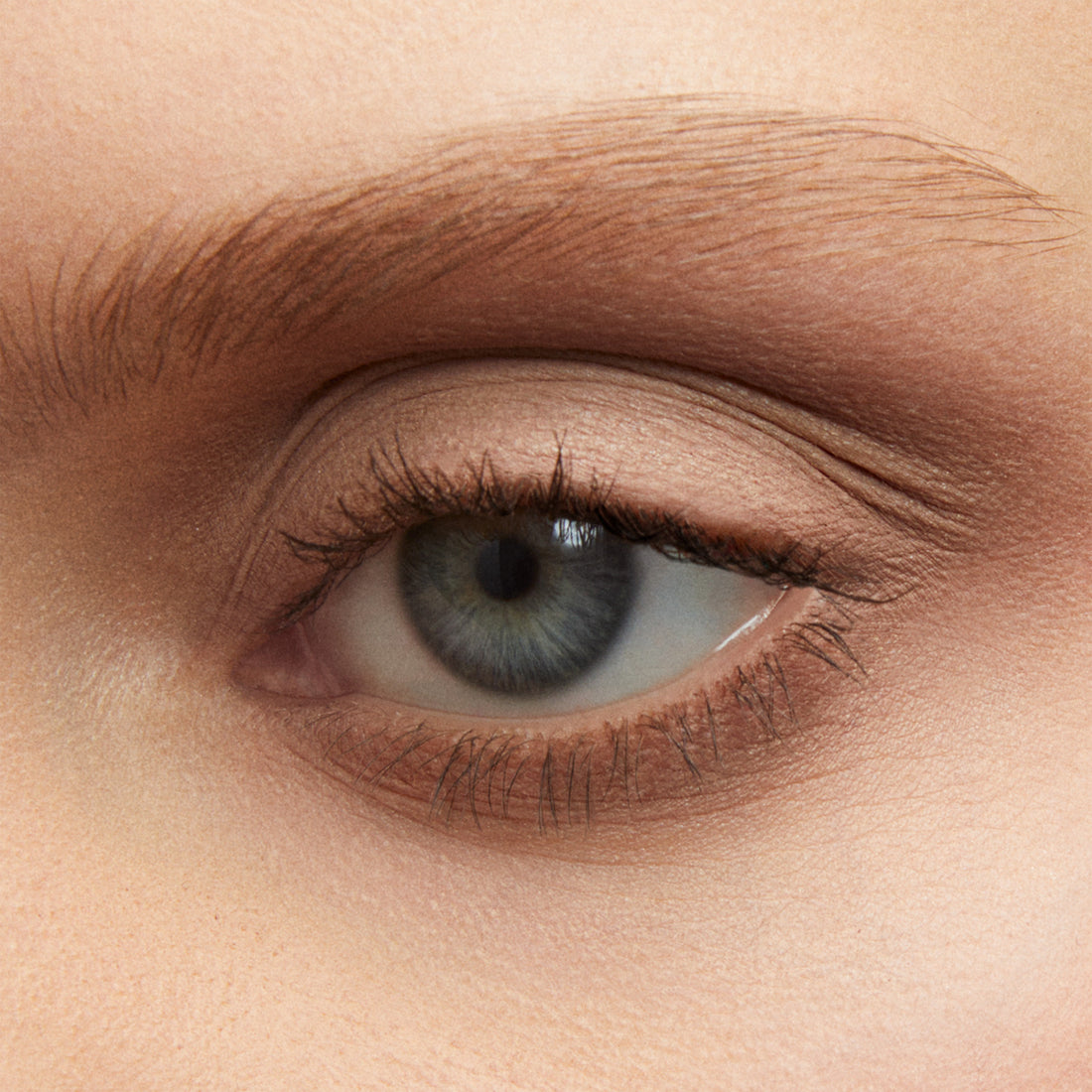Freedom System Eye Shadow Soft Matte