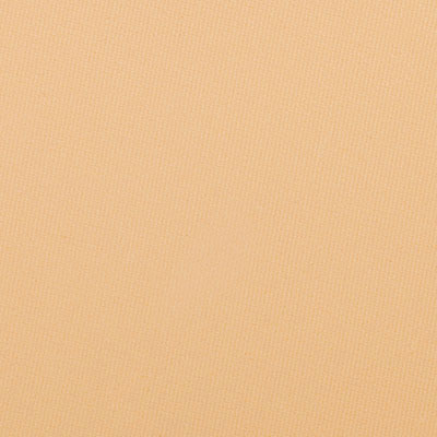 Freedom System Mattifying Pressed Powder