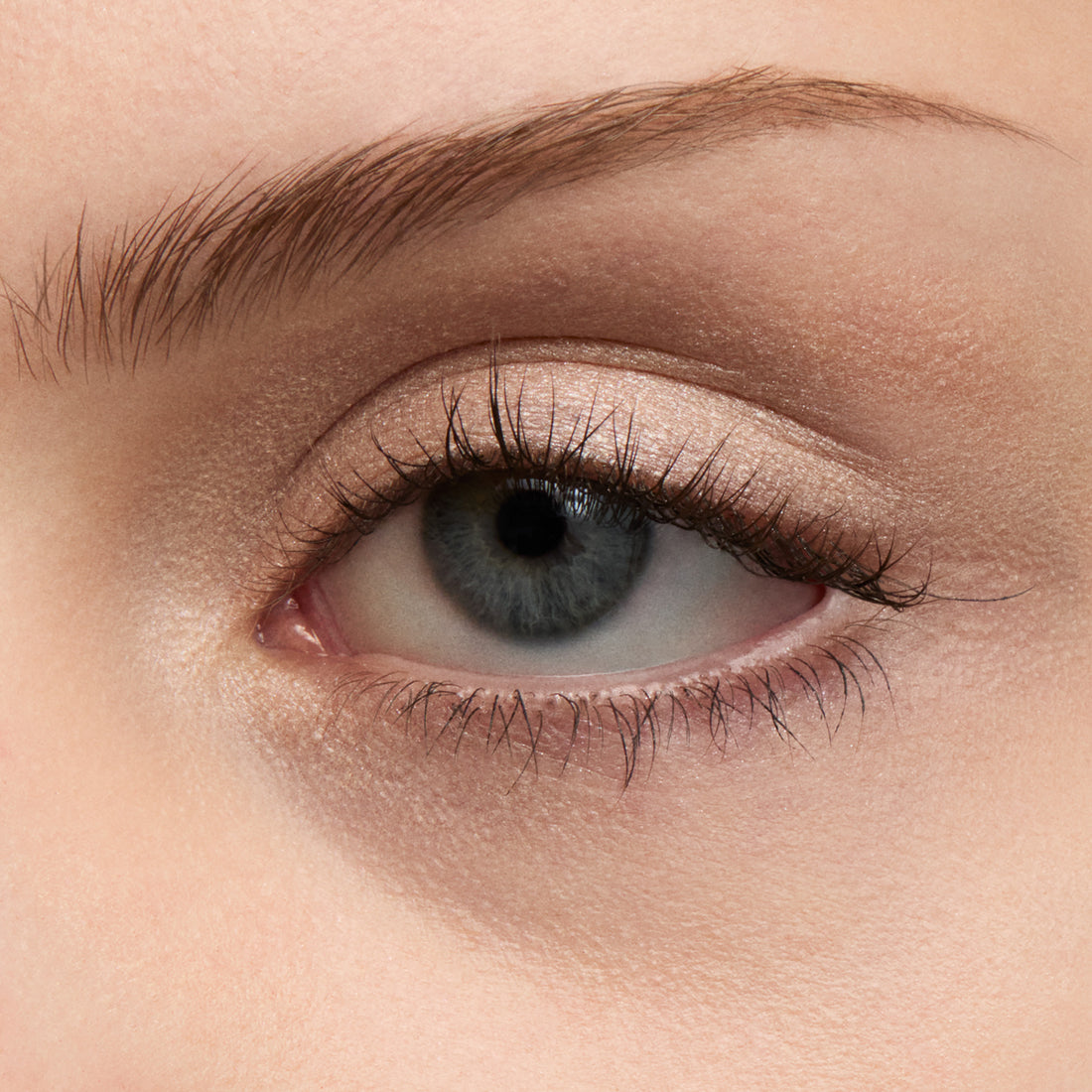 Freedom System Eye Shadow Pearl NF
